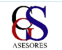 CGS Asesores Logo